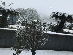 -老娘舅餐厅(黄龙体育中心店)