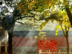 -潭柘寺景区
