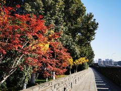 -楚望台遗址公园