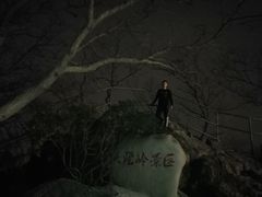 -紫金山山顶公园