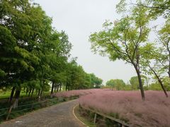 -南湖湿地公园