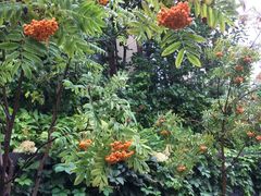 -金石唐风国际温泉会馆