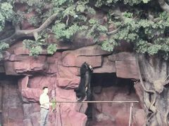 -长鹿旅游休博园