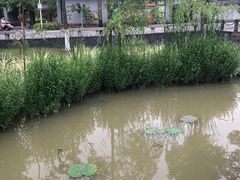 -襄阳烈士陵园(襄城区)