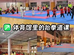 -武术世家少儿培训中心(首都体育学院店)