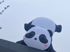 -武汉动物园