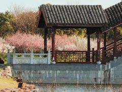 -上海海湾国家森林公园