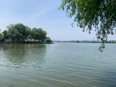 -东湖落雁景区