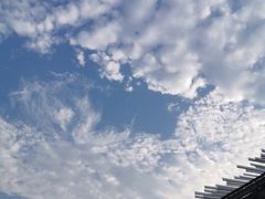 -七的湖·晚芳亭·阳澄湖农家菜·大闸蟹(莲花岛店)