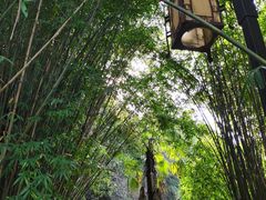 -咸宁万豪温泉谷度假区