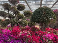 -沂蒙云瀑洞天景区