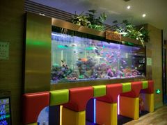 -御池园(顾村公园店)