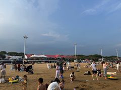 -碧海金沙