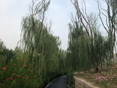 -金山公园