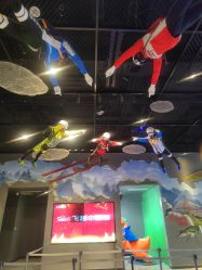 -飞览天下沉浸式飞行体验(北京旗舰店)
