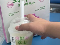 -野萃山·潮汕厚果汁(十亩地店)