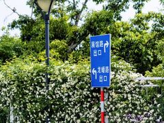 -玄武湖景区-情侣园游乐场