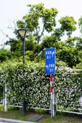 -玄武湖景区-情侣园游乐场
