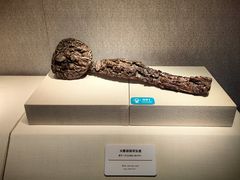 -旅顺博物馆