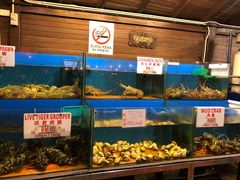 -真浪花园海鲜餐馆