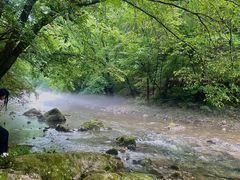 -关门山森林公园