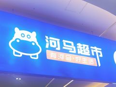 -河马鲜生超市
