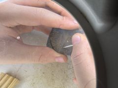 -房山世界地质公园博物馆