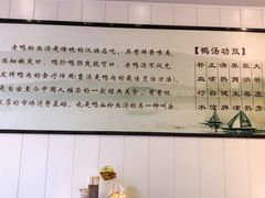 -嘉定紫藤园