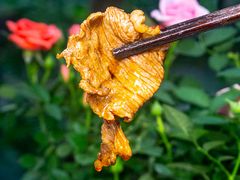 -凤来栖·净庭院·火锅(欧尚店)