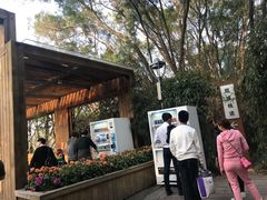 -金鸡山公园