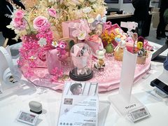 -Sony Store 索尼(上海淮海中路店)