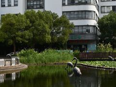 -苏州河梦清园环保主题公园