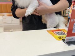 -全心全意连锁动物医院·微创中心·内科急重症·心脏专科(丰管路店)