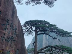 -黄山风景区