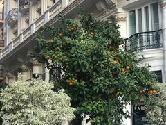 -瓦伦西亚大教堂