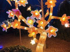 -南宫五洲植物乐园