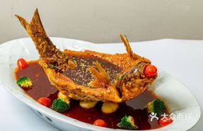 Flying Dragon Fish