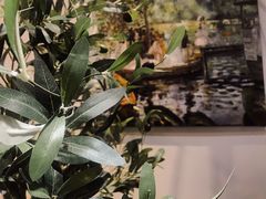 景观位-琥珀咖啡 Ambercoffee