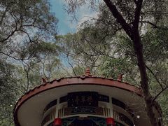 -金鸡山公园