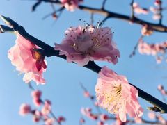 -江南大学(蠡湖校区)