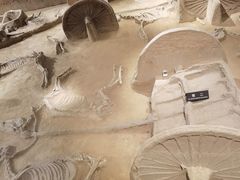 -洛阳周王城天子驾六博物馆