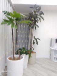 -HEYAN荷妍专业脱毛连锁机构