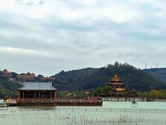 -顺峰山公园