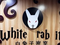 -白兔子密室(长寿路店)