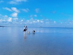 -南汇嘴观海公园