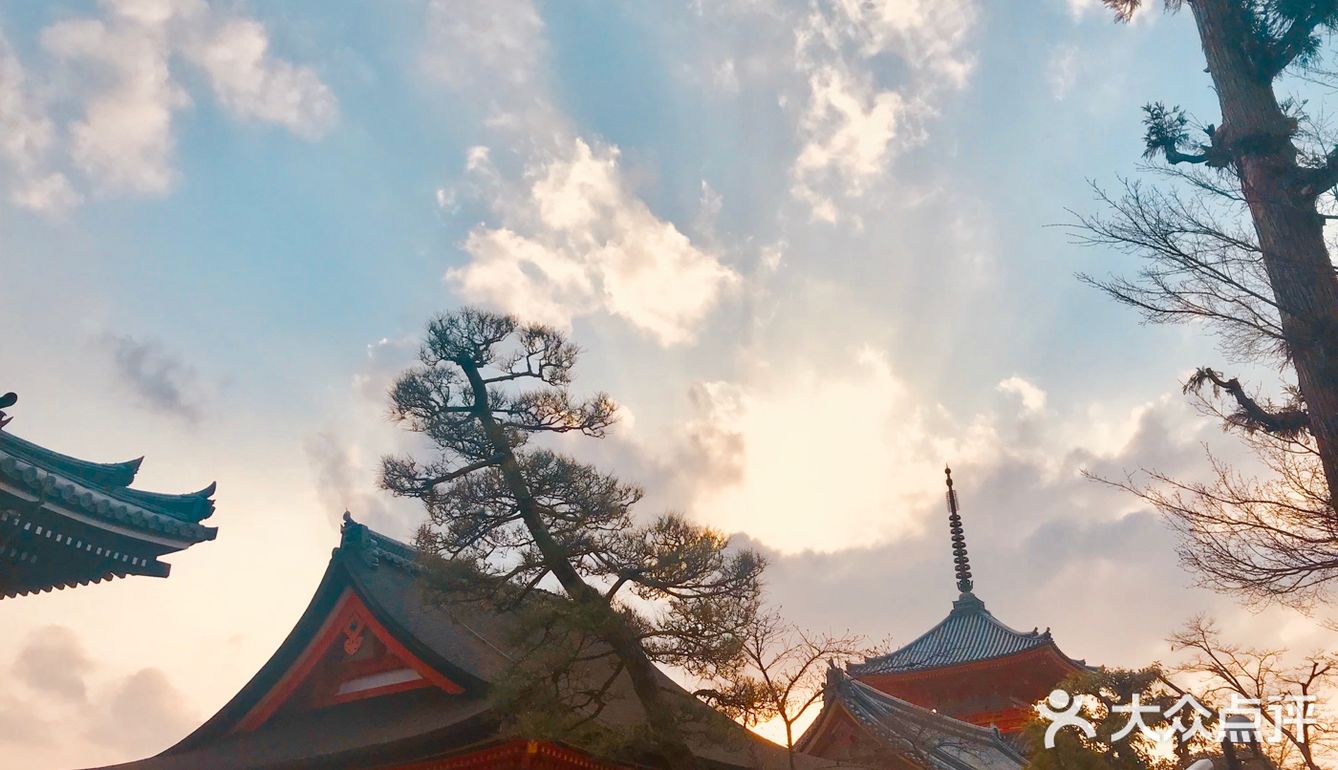 反复读你的故事，反复看你一尊尊橙色的外形