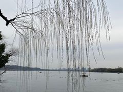 -浙江西子宾馆·牡丹厅