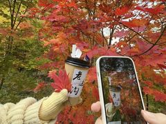 -本溪老边沟风景区