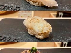 障泥乌贼-橼舍鮨青木