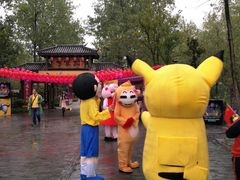 -合肥滨湖国家森林公园